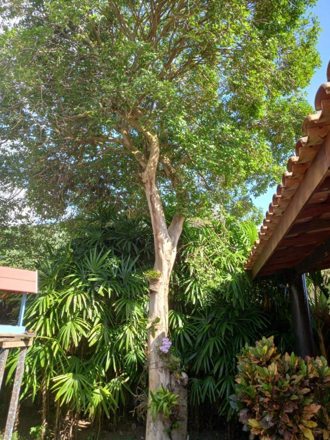 Familia Silvia Perico Villa Ilhabela Exteriör bild
