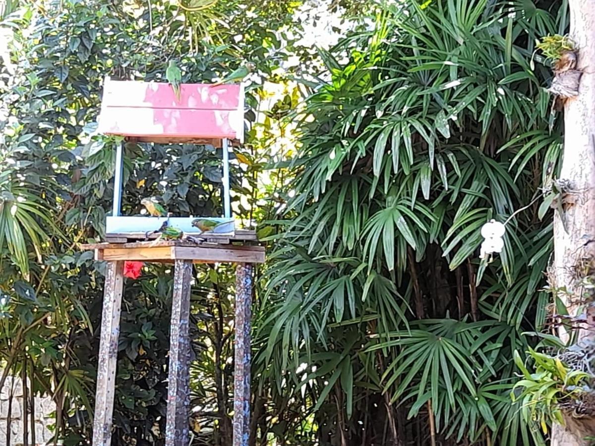 Familia Silvia Perico Villa Ilhabela Exteriör bild